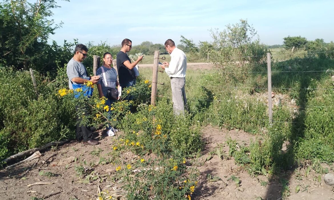 Capacitación Administrativa y Trabajo de Campo en la Oficina de Colonización de General San Martín